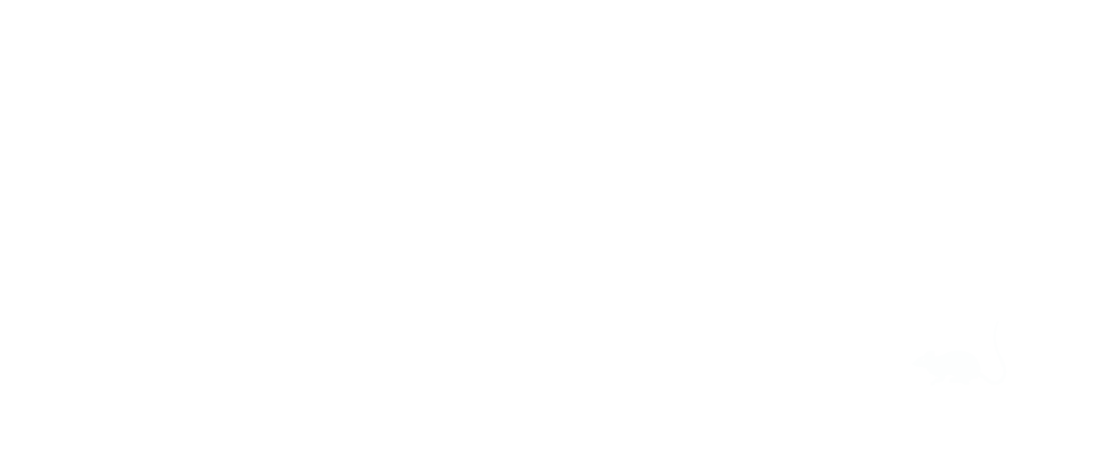 Advanced Recovery Corp Course